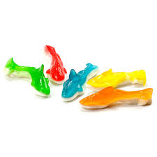 Rainbow Sharks