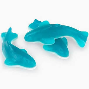 Gummy Sharks